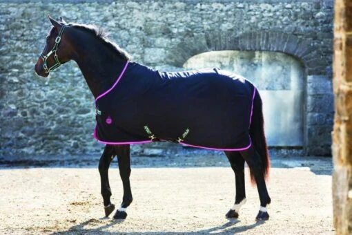 Horseware Ireland Amigo Stable Sheet -Pet Supply Store amigo stable rug black purple mint1 1024x1024 c08b16c5 ee18 4d7f 8bcd 9f29f7d4d559