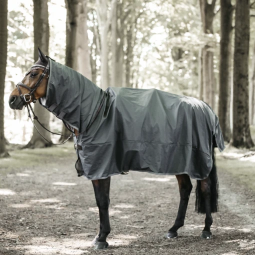 Kentucky Horse Rain Coat -Pet Supply Store b 564c22e810080218547dfa1c1093aa08 article photobook l 49358691 244e 47c9 b206 e202ba3022f3