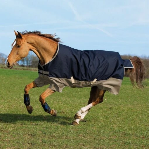 Horseware Ireland Amigo Mio Lite Turnout -Pet Supply Store bl4200 navy tan x700 eded1922 444d 4e32 8be3 4136ffbfe81d