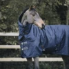 Kentucky Turnout Rug All Weather Waterproof Pro 300g -Pet Supply Store c 564c22e810080218547dfa1c1093aa08 article photobook l