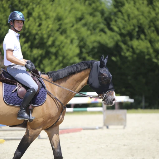 Kentucky Fly Mask Slim Fit -Pet Supply Store e 564c22e810080218547dfa1c1093aa08 article photobook l 1ebeff62 c32b 4469 aed0 96615939f5d7