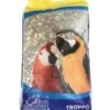 Avigrain Troppo Blue 15kg - Fruit N Nut Medley Mix -Pet Supply Store e2ec1870892af5255fdd46031cae8307.image .225x271