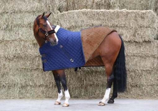 Kentucky Stable Rug 400g -Pet Supply Store kenrug 3