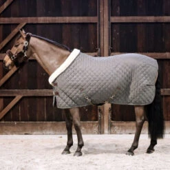 KENTUCKY SHOW RUG -Pet Supply Store kenshowr 6