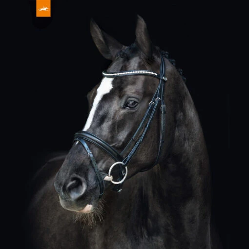 Schockemohle Le Man Bridle -Pet Supply Store leman 3