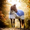 Horseware Ireland Rambo Autumn Series -Pet Supply Store rambo autumn series turnout disc front