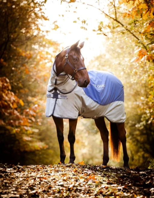 Horseware Ireland Rambo Autumn Series -Pet Supply Store rambo autumn series turnout disc front