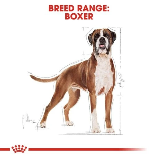 Royal Canin Boxer Dog Food 12kg -Pet Supply Store rc bhn boxer cv eretailkit 1