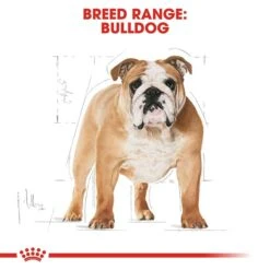 Royal Canin Bulldog Adult Dog Food 12kg -Pet Supply Store rc bhn bulldog cv eretailkit 1