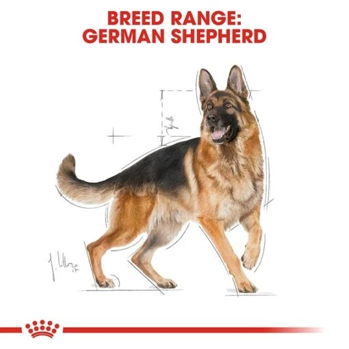 Royal Canin German Shepherd Adult Dog Food 11kg -Pet Supply Store rc bhn germanshepherd cv eretailkit 1