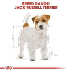 New Release -Pet Supply Store rc bhn jackrussell cv eretailkit 1