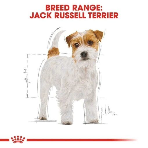 Royal Canin Jack Russell Terrier Dog Food 3kg -Pet Supply Store rc bhn jackrussell cv eretailkit 1