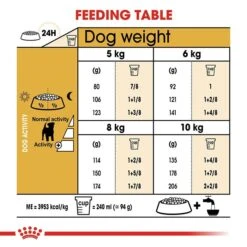 Royal Canin Jack Russell Terrier Dog Food 3kg -Pet Supply Store rc bhn jackrussell cv eretailkit 5