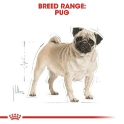 New Release -Pet Supply Store rc bhn pug cv eretailkit 1