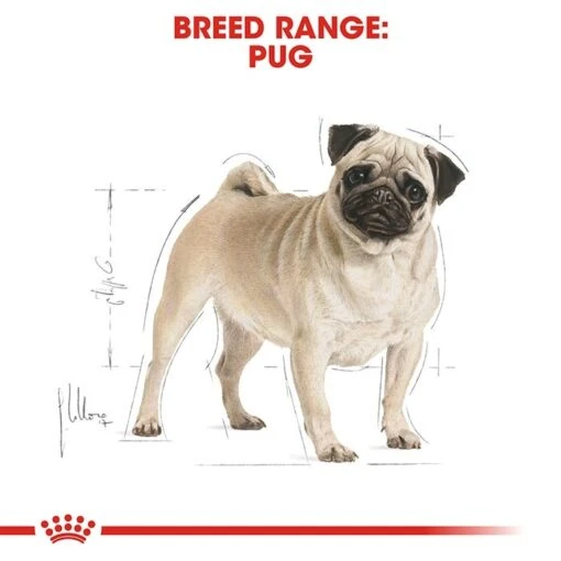 Royal Canin Pug Adult Dog Food -Pet Supply Store rc bhn pug cv eretailkit 1