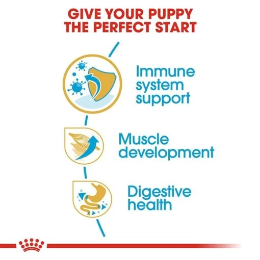 Royal Canin Boxer Puppy Dog Food - 12kg -Pet Supply Store rc bhn puppyboxer cv eretailkit 3