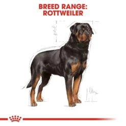 New Release -Pet Supply Store rc bhn rottweiler cv eretailkit 1