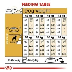 Royal Canin Rottweiler Dog Food 12kg -Pet Supply Store rc bhn rottweiler cv eretailkit 5