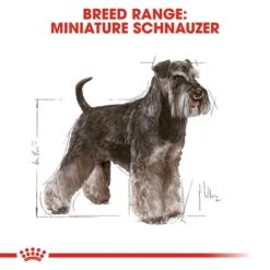 New Release -Pet Supply Store rc bhn schnauzer cv eretailkit 1