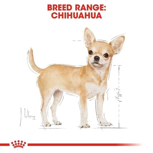 Royal Canin Chihuahua Adult Dog Pouch 85g X12 -Pet Supply Store rc bhn wet chihuahua cv eretailkit 1