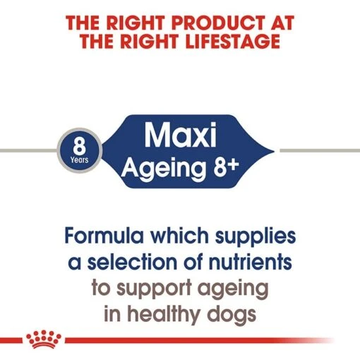 Royal Canin Maxi Breed Senior Pouch 140gx10 -Pet Supply Store rc shn wet maxiageing cv eretailkit 1