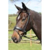 Vespucci Rolled Dressage Snaffle Bridle -Pet Supply Store vesrolled 2